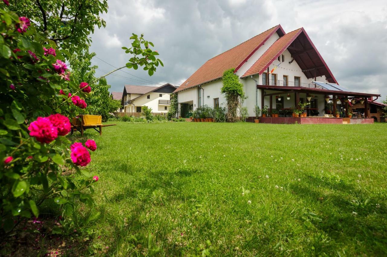 Casa Florilor Hotel Curtea De Arges Exterior photo