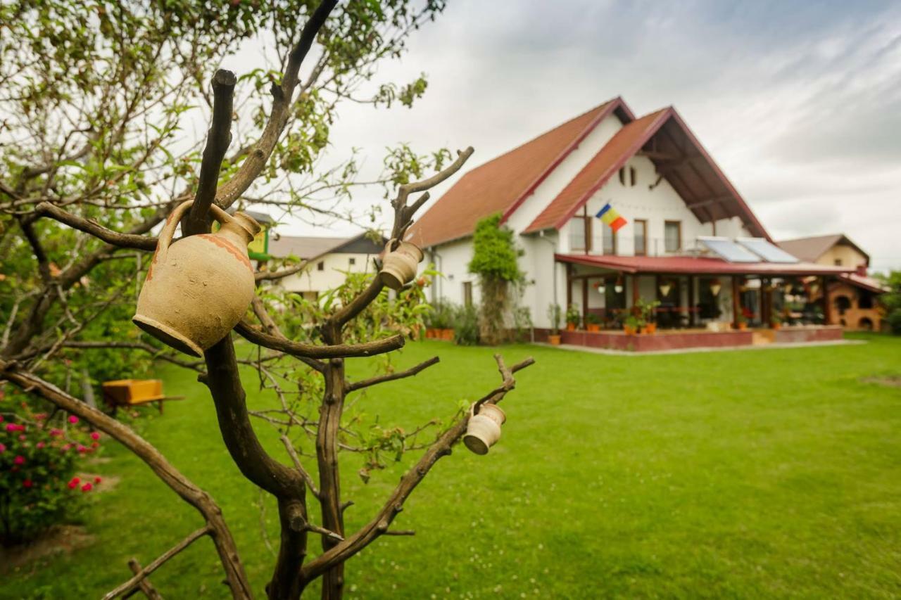 Casa Florilor Hotel Curtea De Arges Exterior photo