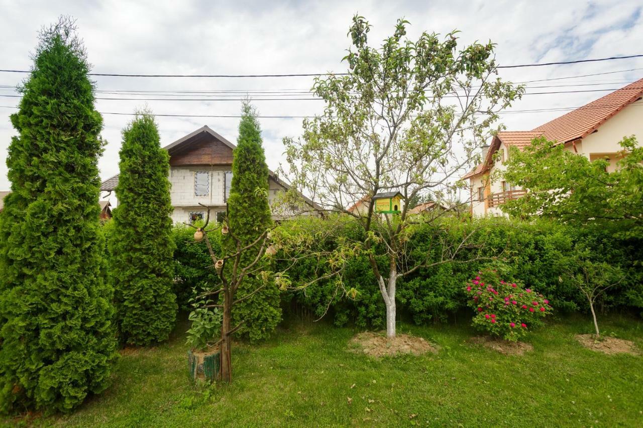 Casa Florilor Hotel Curtea De Arges Exterior photo