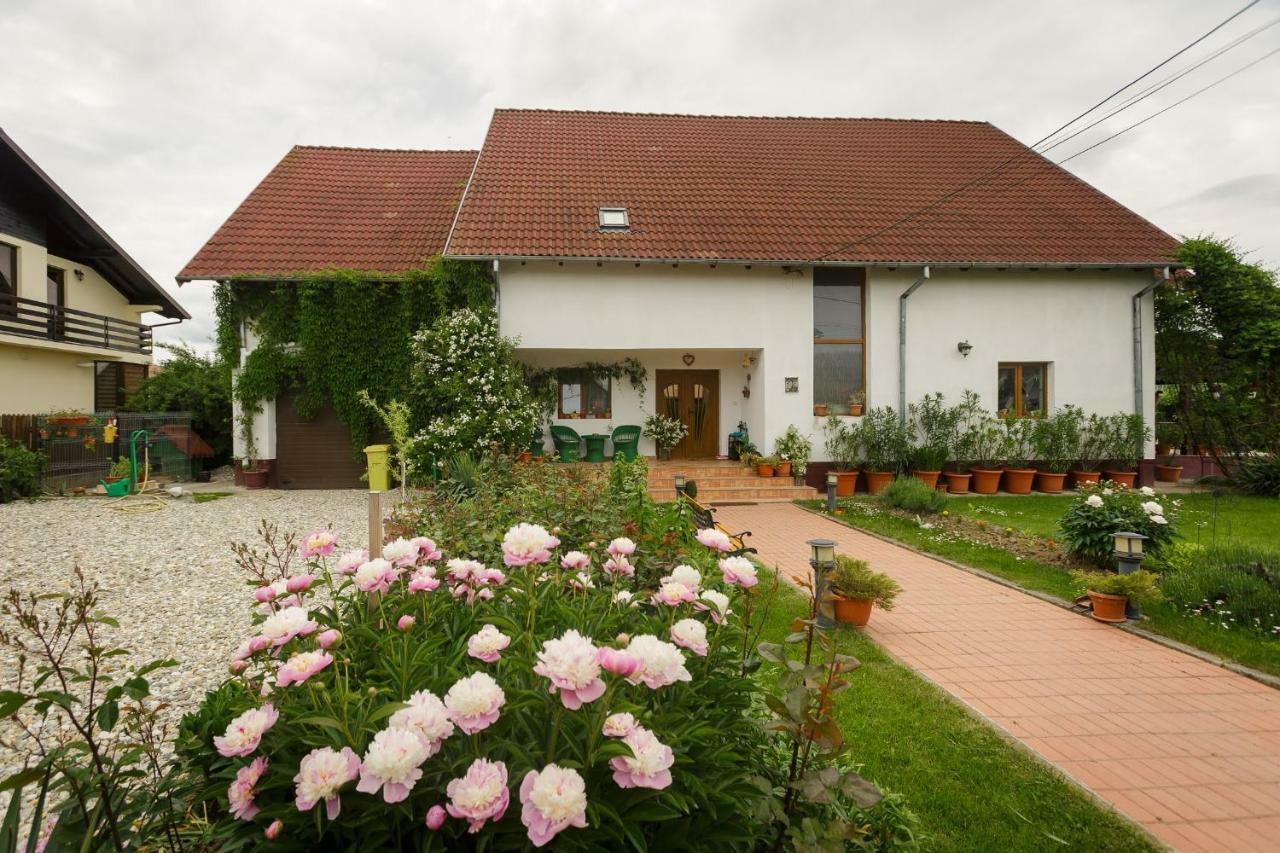 Casa Florilor Hotel Curtea De Arges Exterior photo
