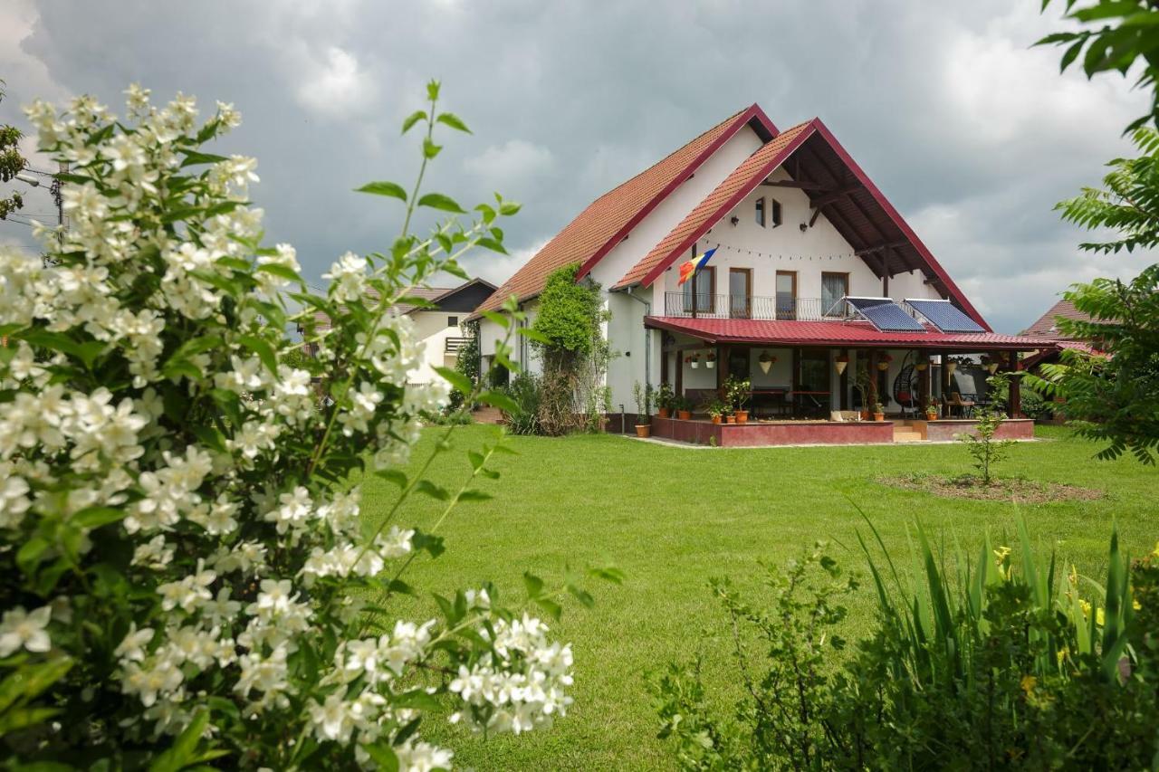Casa Florilor Hotel Curtea De Arges Exterior photo
