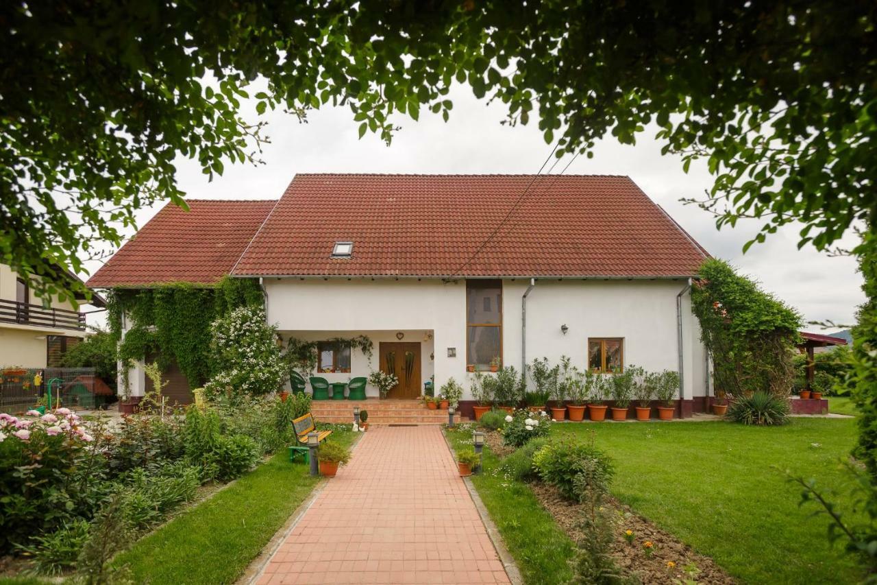 Casa Florilor Hotel Curtea De Arges Exterior photo