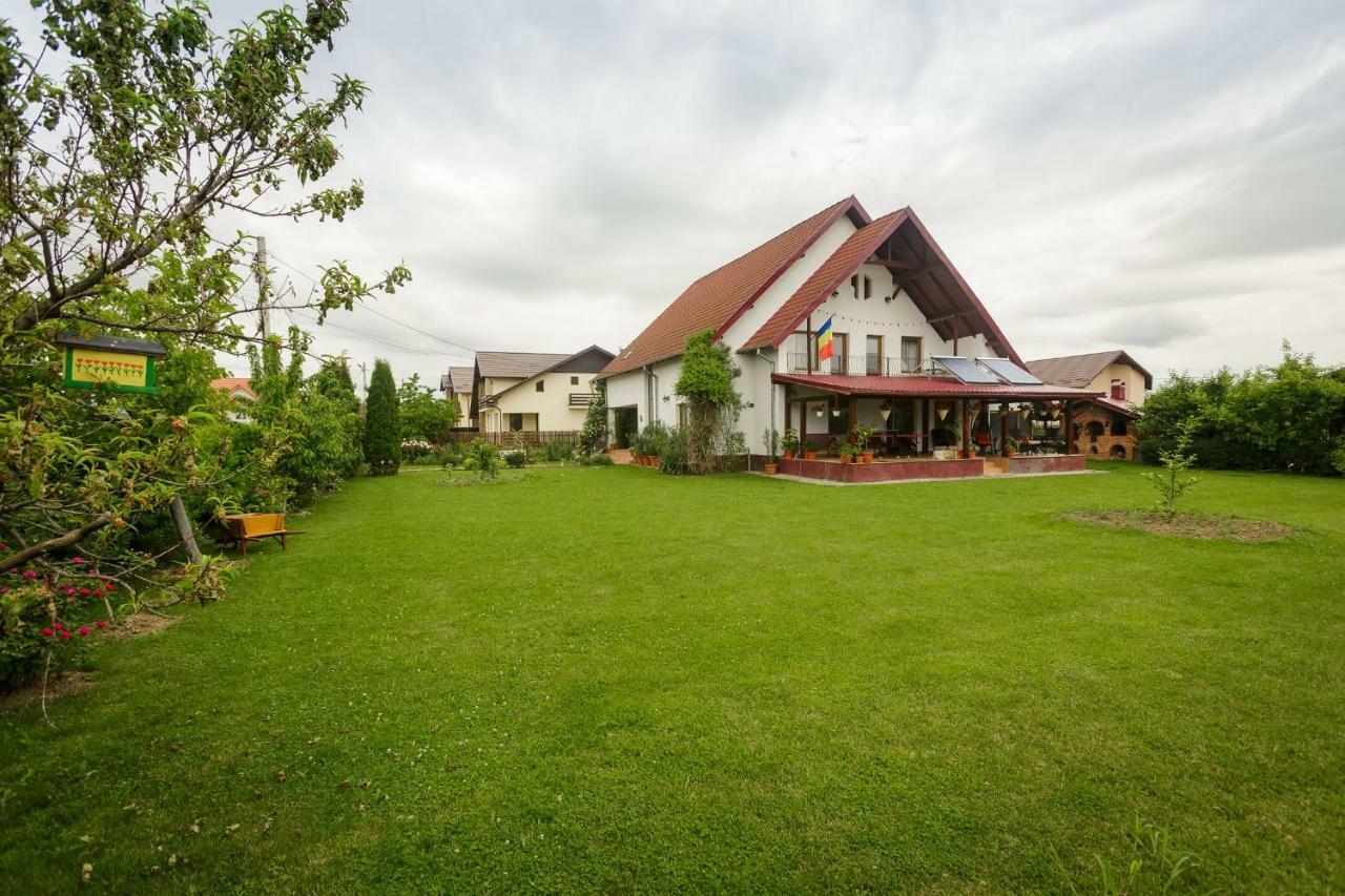 Casa Florilor Hotel Curtea De Arges Exterior photo