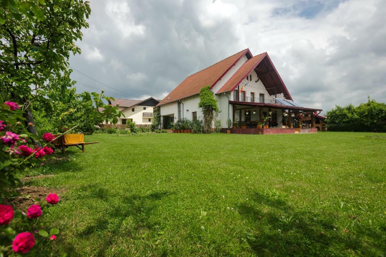 Casa Florilor Hotel Curtea De Arges Exterior photo